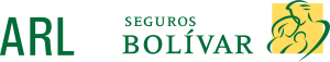 Inicio arl